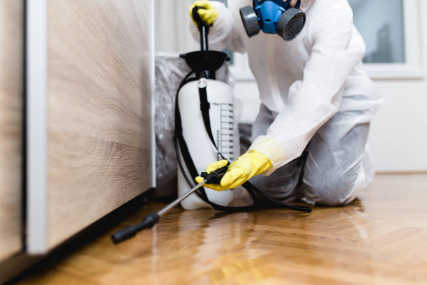 Best Affordable Pest Control Services  in Elgin, IL