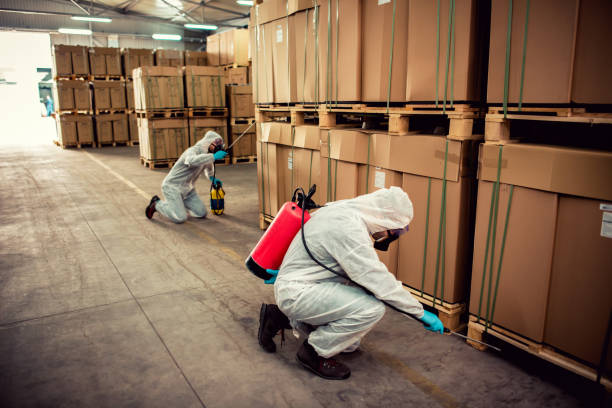Flea Control Services in Elgin, IL