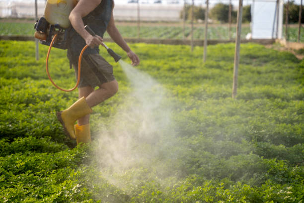 Best Pest Removal Services  in Elgin, IL