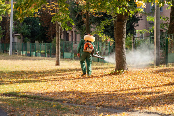 Best Bird Control  in Elgin, IL