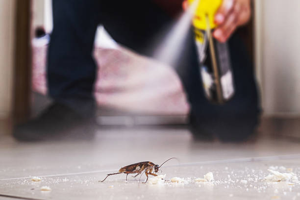 Best Pest Prevention Services  in Elgin, IL