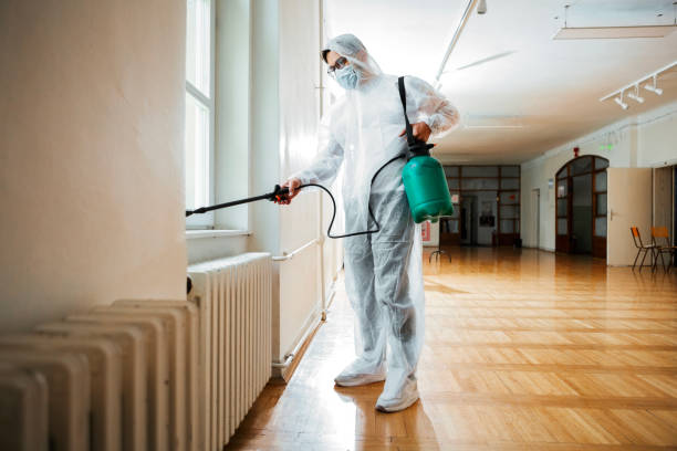 Best Mosquito Control Services  in Elgin, IL