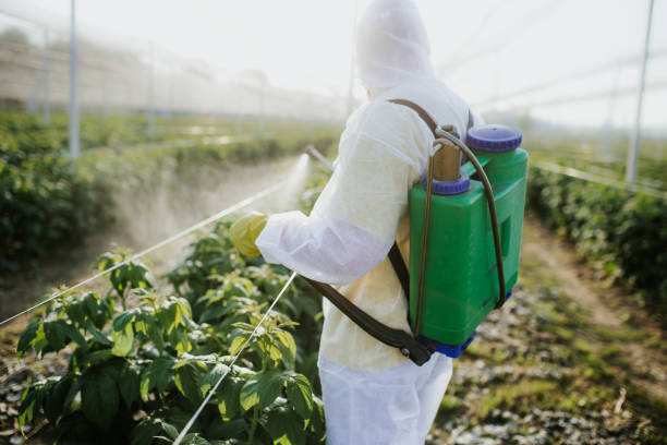 Best Emergency Pest Control  in Elgin, IL